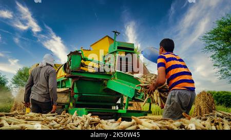 15 agosto 2022, Sikar, India. Trincia semovente con trattore trebbiante. Trattore con macchina trebbiatrice in primo piano nel campo agricolo. Foto Stock