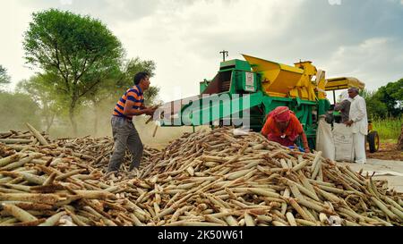 15 agosto 2022, Sikar, India. Trincia semovente con trattore trebbiante. Trattore con macchina trebbiatrice in primo piano nel campo agricolo. Foto Stock