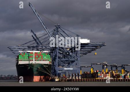 La nave portacontainer mai Golden attraccata al porto di Felixstowe a Suffolk, mentre i lavoratori tornano a lavorare nel porto portacontainer più trafficato del Regno Unito dopo uno sciopero di otto giorni in una lunga disputa sulla retribuzione. Circa 1.900 membri sindacali al porto sono usciti la scorsa settimana, dopo una simile sosta di otto giorni ad agosto. Data immagine: Mercoledì 5 ottobre 2022. Foto Stock