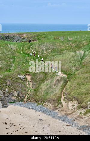 Un gruppo di persone si arrampica sul ripido sentiero dalla spiaggia di Porth Lago sulla penisola di Llyn lungo il Wales Coast Path Foto Stock