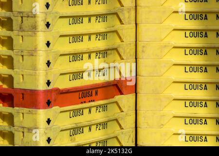 Fish Crates Stack; UK Foto Stock