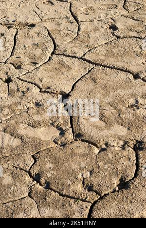 Siccità terra cracking a causa della mancanza di acqua cambiamento climatico Estremadura Spagna Europa Foto Stock