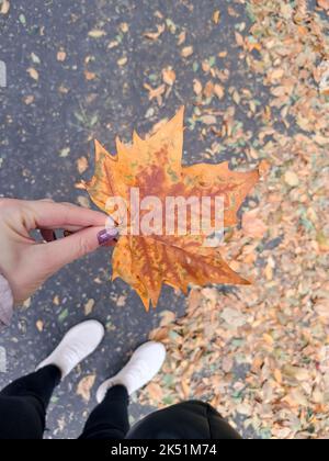 L'autunno arancione parte sulle strade di Londra, stagione autunnale Foto Stock