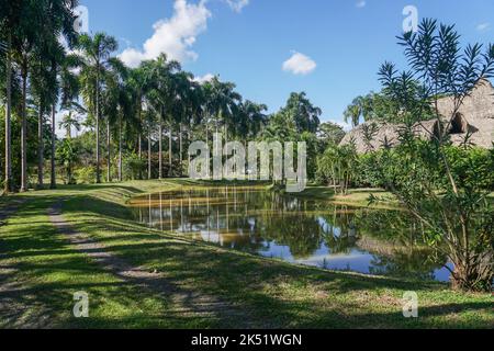 Una giornata di sole all'Eco Hotel Cosmogenesis di Villavicencio. Cosmogenesi è un centro agro-eco-turistico, terapeutico e formativo focalizzato sul permacu Foto Stock