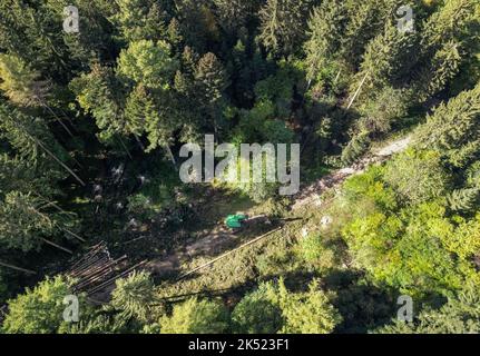 Herbertingen, Germania. 05th Ott 2022. Una trebbiatrice prepara alberi abbattuti durante un evento stampa Forst BW sul tema della raccolta del legname in un'area forestale. La raccolta del legname inizia ogni anno nel Baden-Württemberg in autunno. (Vista aerea con un drone) Credit: Marijan Murat/dpa/Alamy Live News Foto Stock