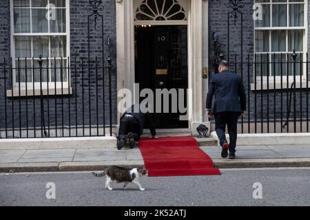 Il tappeto rosso è posto davanti alla porta d'ingresso principale di Downing Street No.10, davanti ad una visita di Stato, Whitehall, Londra, Inghilterra, Regno Unito Foto Stock