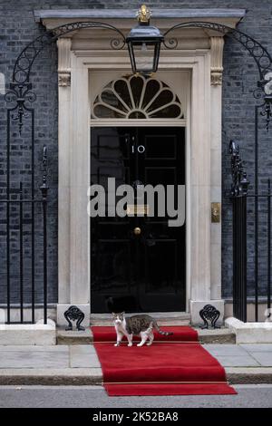 Il tappeto rosso è posto davanti alla porta d'ingresso principale di Downing Street No.10, davanti ad una visita di Stato, Whitehall, Londra, Inghilterra, Regno Unito Foto Stock