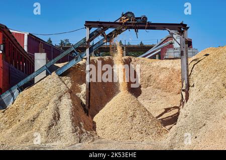 Trucioli di legno che volano dal trasportatore alla segheria. Foto Stock