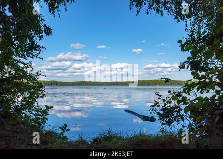 Le nuvole si riflettono nella superficie dell'acqua . Il lago è grande. Vsevolozhsk. Regione di Leningrado Foto Stock