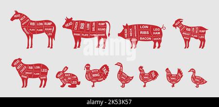 Serie di tagli di diagramma di animali da allevamento. Poster schema macellaio. Maiale, cavallo, tacchino, capra, pecora, Pollo, gallo, anatra, coniglio, oca, Tagli di mucca di carni. Illustrazione Vettoriale