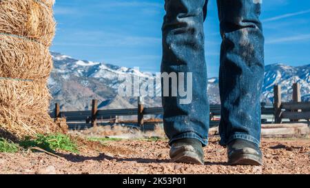 Scenario agricolo nello Utah con una balla di fieno e montagne sullo sfondo. Concentrati sugli stivali da cowboy e sui jeans sporchi della donna. Foto Stock