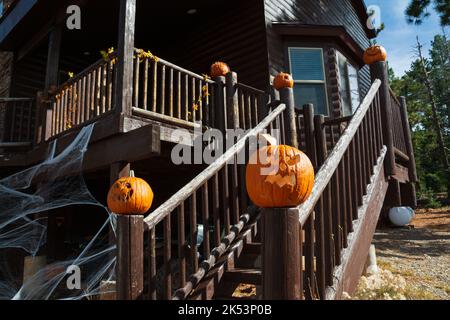 Una cabina in una foresta nello Utah è decorata con jack-o-lanterne e ragnatele per Halloween. Foto Stock