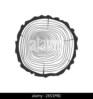 Anelli di crescita annuale in sezione trasversale del tronco dell'albero. Timbro di legno tessuto disegnato a mano isolato su sfondo bianco. Dendrocronologia datazione metodo per determinare l'età dell'albero. Illustrazione del doodle vettoriale Illustrazione Vettoriale