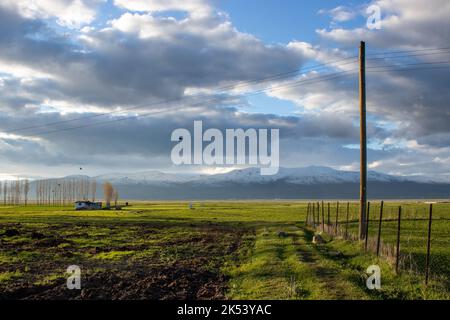 Paesaggio primaverile nella pianura di Erzurum. Terreni che diventano verdi dopo l'inverno. Foto Stock