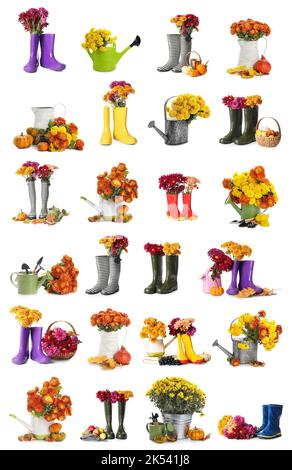 Set di fiori freschi di crisantemo con stivali in gomma, lattine da annaffiatura e attrezzi da giardinaggio su sfondo bianco Foto Stock