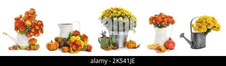 Collage di fiori di crisantemo con stivali di gomma, lattine, frutta e attrezzi da giardinaggio su sfondo bianco Foto Stock
