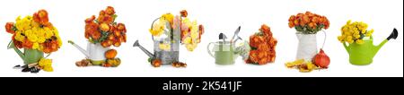 Collage di fiori di crisantemo con stivali in gomma, lattine da annaffiatura e attrezzi da giardinaggio su sfondo bianco Foto Stock