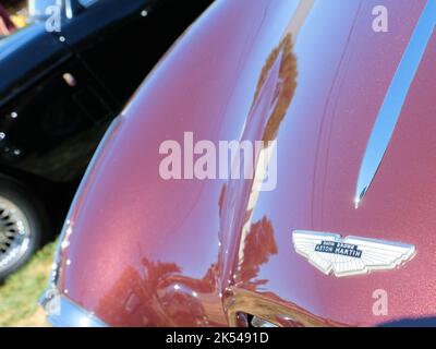 Badge David Brown Aston Martin e cresta sul cappuccio di un'auto sportiva britannica collezionabile. Foto Stock