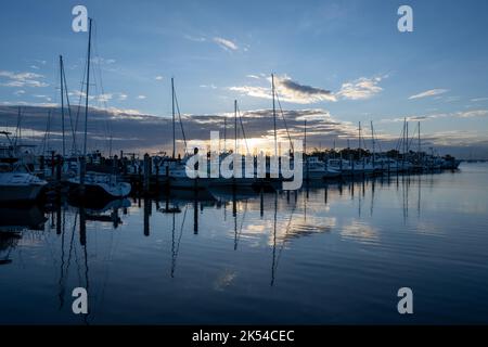 Le barche attraccano al Dinner Key Marina a Coconut Grove, Miami, Florida, alla luce del mattino presto. Foto Stock