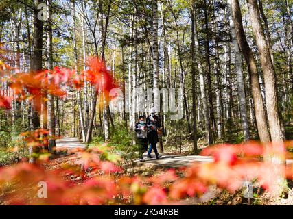 Changchun, provincia cinese di Jilin. 5th Ott 2022. La gente visita il Parco Nazionale della Foresta di Hongshi a Jilin City, provincia di Jilin della Cina nord-orientale, 5 ottobre 2022. Credit: Yan Linyun/Xinhua/Alamy Live News Foto Stock