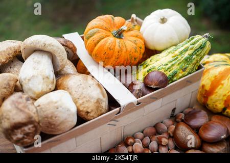 Autunno ancora vita con zucche, castagne e funghi in un cesto con sfondo naturale Foto Stock