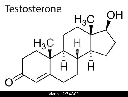 File vettoriale della struttura chimica e molecolare del testosterone Illustrazione Vettoriale