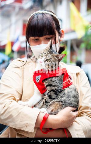 Una giovane donna tailandese tiene il suo bel gatto indossando una giacca rossa fuori Wat Paknam Phasi Charoen Tempio, Bangkok, Thailandia. Foto Stock