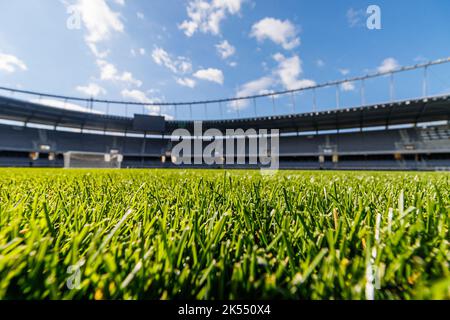 Erba verde con stadio di calcio sullo sfondo. Foto Stock