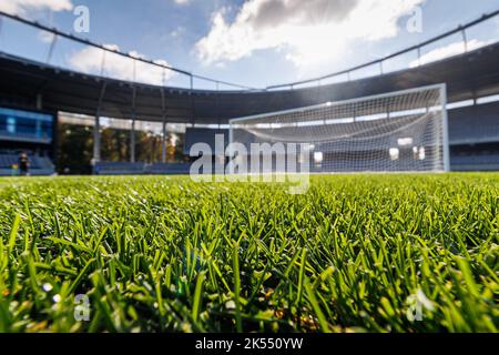 Erba verde con stadio di calcio sullo sfondo. Foto Stock