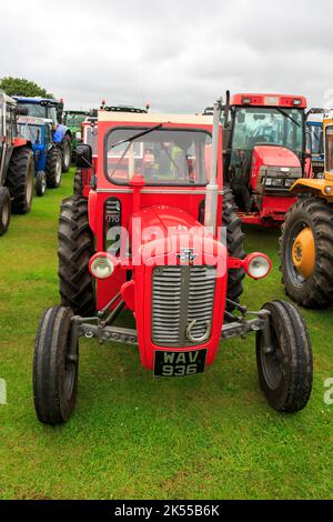 Brydkirk, Scozia - 04 settembre 2022: Un vecchio Massey Ferguson 35 del 1962 parcheggiava in attesa di partecipare a una corsa di beneficenza locale Foto Stock