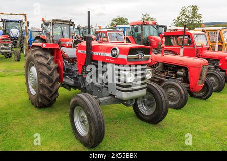 Brydkirk, Scozia - 04 settembre 2022: Una vecchia Massey Ferguson165 Multi Power del 1970 parcheggiata in attesa di partecipare a una corsa di beneficenza locale Foto Stock