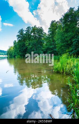 Germania, acqua del lago Ebnisee nella natura naturale paesaggio di alberi verdi, foresta vicino a welzheim e kaisersbach in estate il giorno di sole Foto Stock