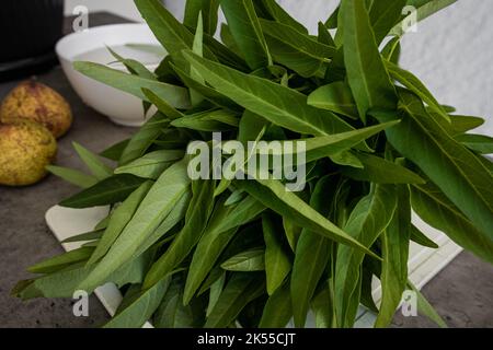 Un mazzo di Ipomoea Aquatica fresca, conosciuto come spinaci o Kangkung, sul banco della cucina pronto per essere messo a bagno e cotto Foto Stock