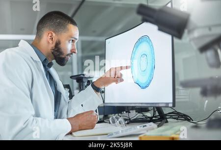 Lo sviluppo del cervello, la ricerca di laboratorio e lo scienziato che lavorano all'analisi della scansione per la scienza sanitaria su un computer sul lavoro. Medico fare Foto Stock