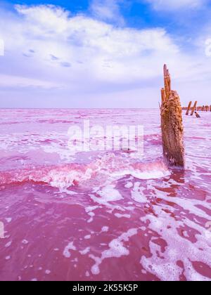 Dunaliella salina impartisce un'acqua rossa, rosa in lago minerale con secco Foto Stock