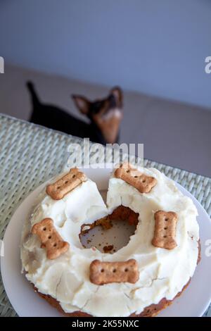 Sniffing del cane al burro di arachidi e torta di carote con patata e glassa di yogurt (per cani) Foto Stock