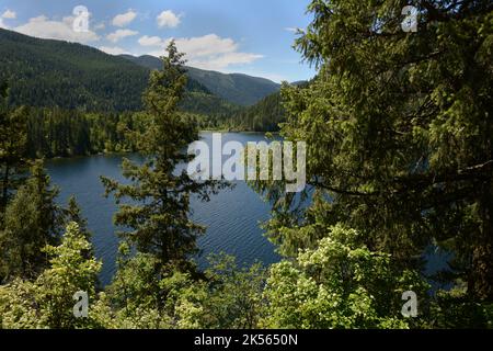 La vista del lago Sullivan, da un sentiero escursionistico sopra la riva, nelle Selkirk Mountains della Colville National Forest, Washington state, USA. Foto Stock