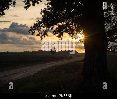 Una strada di campagna attraverso campi arati con una silhouette di alberi ravvicinata e un tramonto lontano Foto Stock