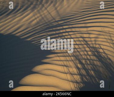 Ombre astratte dal sole basso in increspature di sabbia di spiaggia Foto Stock