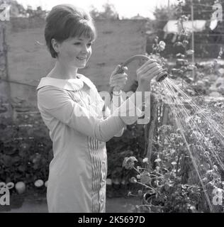 1964, storica, estiva e all'aperto in un giardino, una giovane donna in un vestito che innaffia le sue piante, utilizzando un tubo a tubo con uno spray, Inghilterra, Regno Unito. Foto Stock