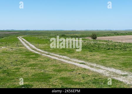 Vista sui campi agricoli della riserva naturale della terra annegata di Saeftinghe, Paesi Bassi Foto Stock