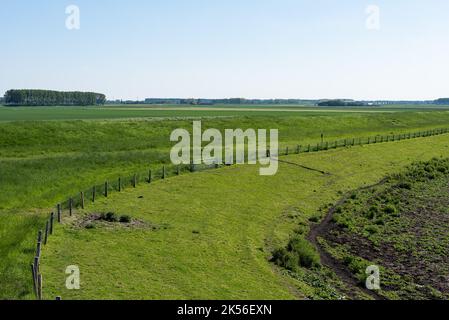 Vista sui campi agricoli e la riserva naturale della terra annegata della riserva naturale di Saeftinghe, Paesi Bassi Foto Stock