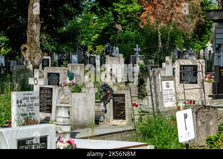 CLUJ-NAPOCA, TRANSILVANIA, ROMANIA - 17 GIUGNO 2021: Vista dal cimitero centrale di Cluj-Napoca. Foto Stock