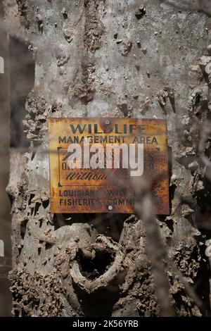 RUSSELL SAGE WILDLIFE MANAGEMENT AREA, MONROE, LOUISIANA/USA - 24 FEBBRAIO 2020: Vecchio segno che segna una Louisiana Wildlife Management Area, non pistole o tr Foto Stock