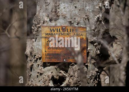 RUSSELL SAGE WILDLIFE MANAGEMENT AREA, MONROE, LOUISIANA/USA - 24 FEBBRAIO 2020: Vecchio segno che segna una Louisiana Wildlife Management Area, non pistole o tr Foto Stock
