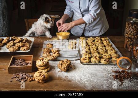 Francia, Parigi, ristorante Télumée, produzione di biscotti, Federica Massaro Foto Stock