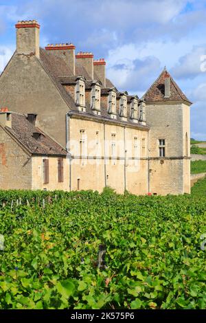 Francia, Cote d'Or, Cote de Nuits, Route des Grands Crus, i climi di Borgogna elencati come Patrimonio Mondiale dell'UNESCO, Vougeot, Clos de Vougeot castello (12th 16th ° secolo) nel mezzo di viti pinot nero che darà il famoso Clos Vougeot (AOC) Foto Stock