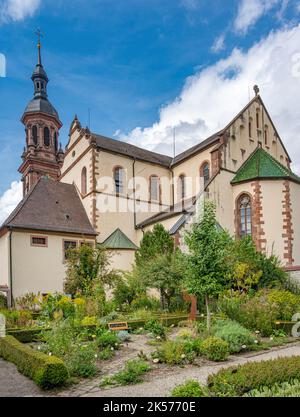 Vista sul giardino delle erbe della Chiesa di Santa Maria nel centro storico di Gengenbach, nella valle di Kinzig, Ortenau. Baden Wuerttemberg, Germania, Europa Foto Stock