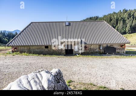 Francia, alta Savoia (74), massiccio dei Bauges, Alpage della Combe des Villards, visita guidata della fattoria Les noisitiers, produzione di Abondance AOP formaggio Foto Stock