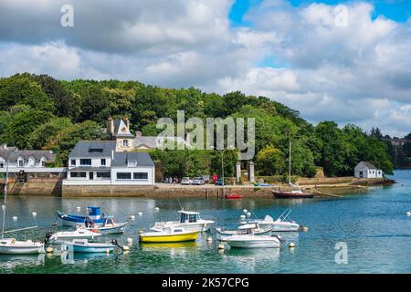 Francia, Finistere, Moelan-sur-Mer, fiume Belon e il porto di Belon sulla riva destra (Riec-sur-Belon) sul sentiero costiero o GR 34 lunga distanza Foto Stock